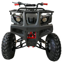 200 ATV Quad 4 Wheelers Utility Full Size Adult ATVs Big Youth ATVs Nibeza Style