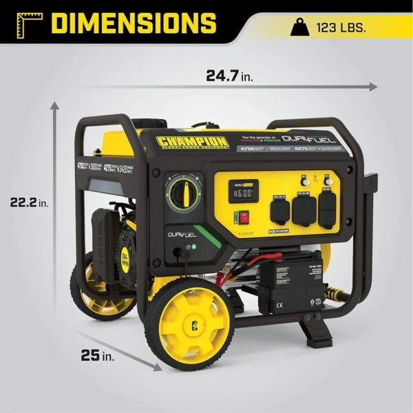 Champion Power Equipment 4750 Watt Portable Generator with Electric Start and Dual Fuel, RV Ready Nibeza Style