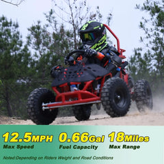 X-Pro Rover 50 Go Kart Nibeza Style