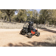 Coleman Powersports GK100 One-Seater Go Kart Nibeza Style