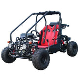Taotao GK110 Kids Gas Go Kart Dune Buggy Nibeza Style