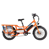 Rad Power Bikes RadWagon 4 Electric Cargo Bike Nibeza Style