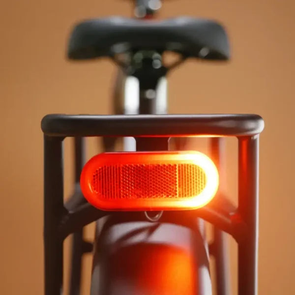 Rad Power Bikes Radster Trail Electric Off-Road Bike Nibeza Style