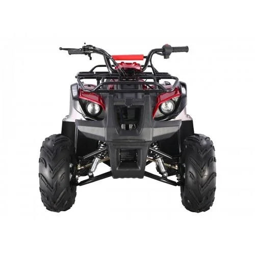 Tao Motor D125 Kids ATVs Nibeza Style