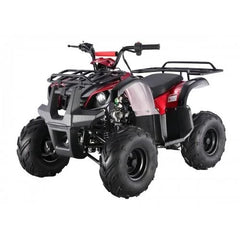 Tao Motor D125 Kids ATVs Nibeza Style