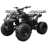 Tao T Force T125 Mid Size ATV Nibeza Style
