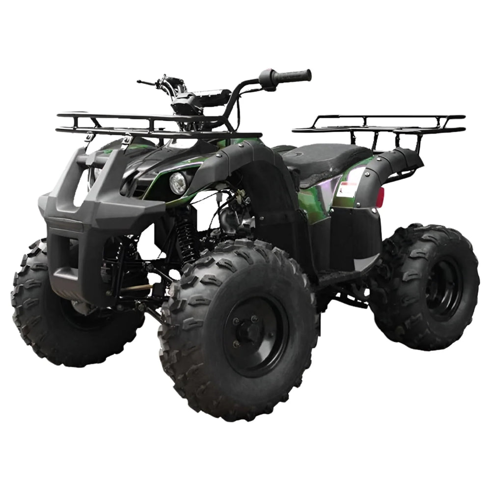Tao T Force T125 Mid Size ATV Nibeza Style
