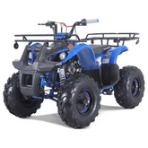 TaoTao T-Force T125 4-Wheeler All-Terrain Vehicle ATV Nibeza Style