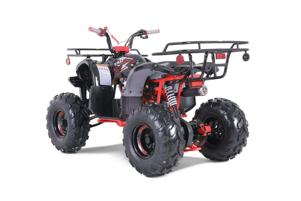TaoTao T-Force T125 4-Wheeler All-Terrain Vehicle ATV Nibeza Style