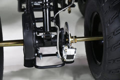 Taotao 250 Rhino Adult Utility ATV Nibeza Style