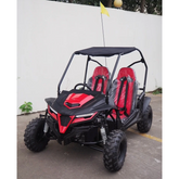 TrailMaster Cheetah 8 Go-Kart Nibeza Style