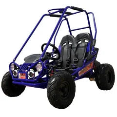 Trailmaster Mini XRX+ 2- Seater GO-KART EAGLE SERIES 163cc Blue Nibeza Style
