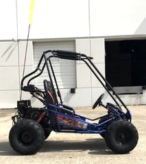 Trailmaster Mini XRX+ 2- Seater GO-KART EAGLE SERIES 163cc Blue Nibeza Style