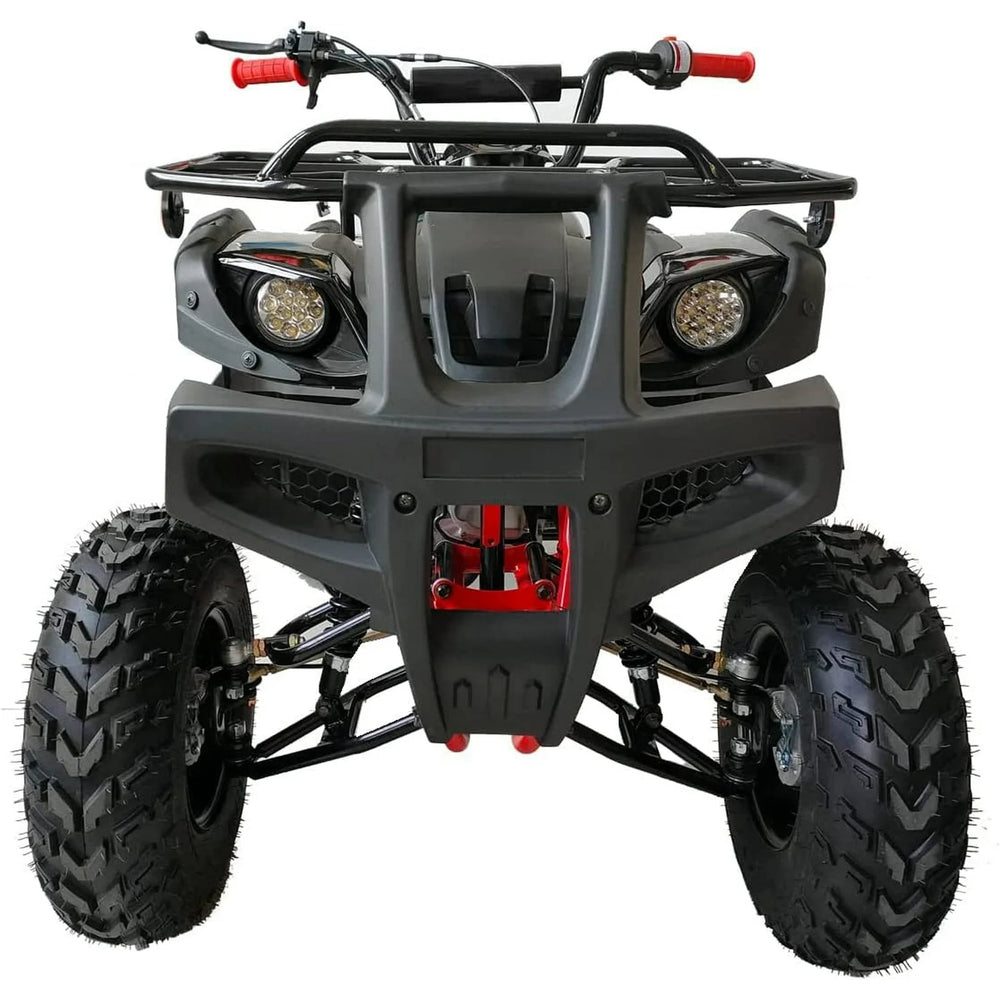 200 ATV Quad 4 Wheelers Utility Full Size Adult ATVs Big Youth ATVs Nibeza Style