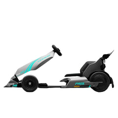 Segway GoKart Pro 2 Nibeza Style