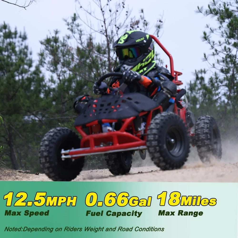 X-Pro Rover 50 Go Kart Nibeza Style