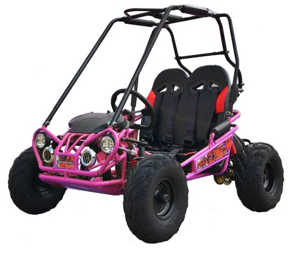 TrailMaster MINI XRX+ Go-Kart Nibeza Style