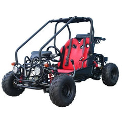 Taotao GK110 Kids Gas Go Kart Dune Buggy Nibeza Style