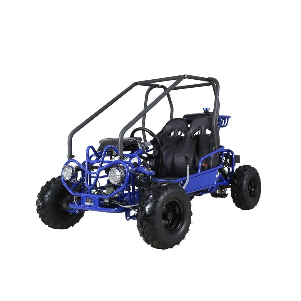 Taotao GK110 Kids Gas Go Kart Dune Buggy Nibeza Style