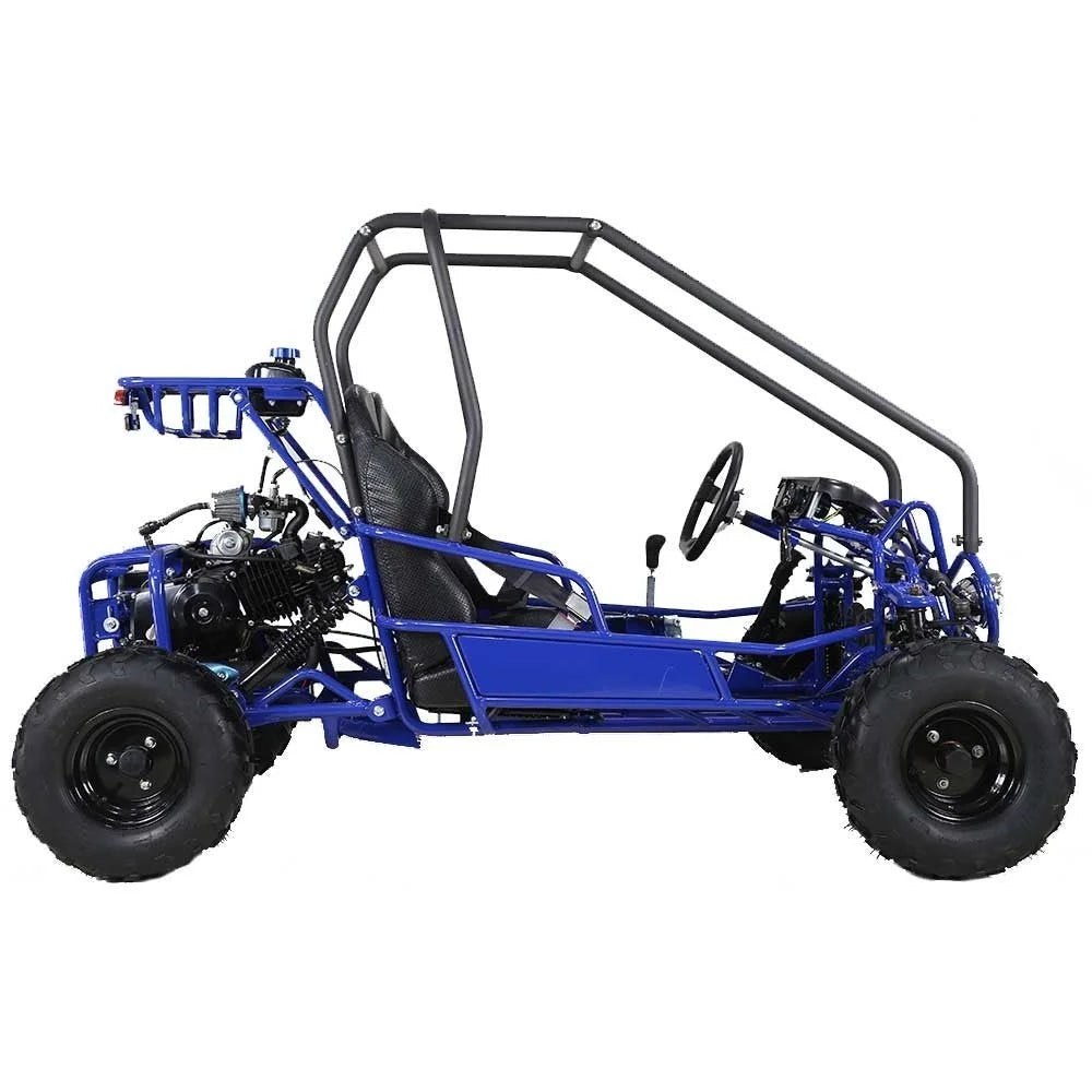Taotao GK110 Kids Gas Go Kart Dune Buggy Nibeza Style