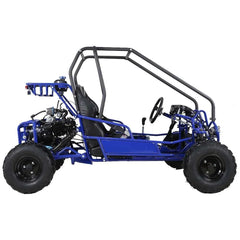 Taotao GK110 Kids Gas Go Kart Dune Buggy Nibeza Style