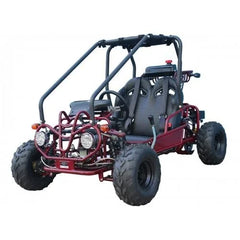Taotao GK110 Kids Gas Go Kart Dune Buggy Nibeza Style
