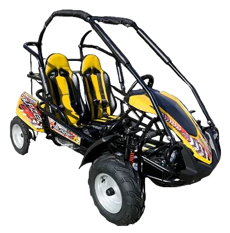 TrailMaster Blazer 200R Mid Go- Kart Nibeza Style