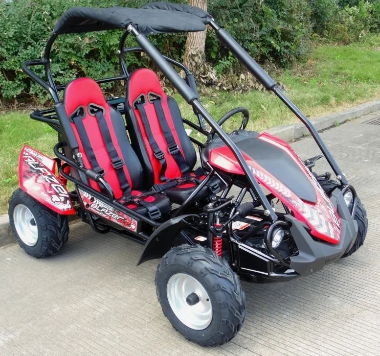 TrailMaster Blazer 200R Mid Go- Kart Nibeza Style