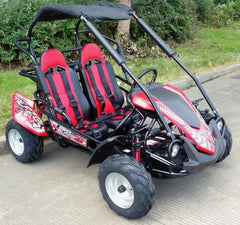 TrailMaster Blazer 200R Mid Go- Kart Nibeza Style