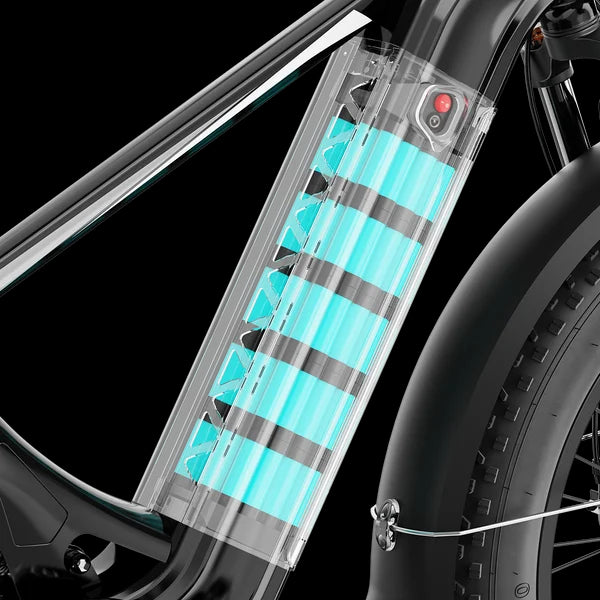 Aipas M2 Xterrain Ebike Aipas-M2-black Basket Nibeza Style