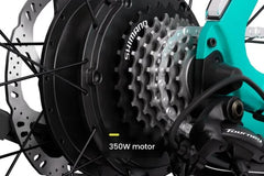 Aventon Soltera 2.5 Nibeza Style