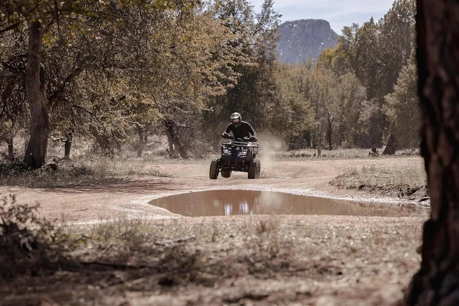 Coleman Powersports AT200R 169cc Gas Powered Adult ATV Nibeza Style