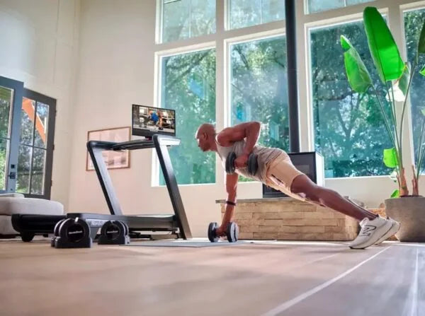 NordicTrack Commercial 2450 Treadmill Nibeza Style