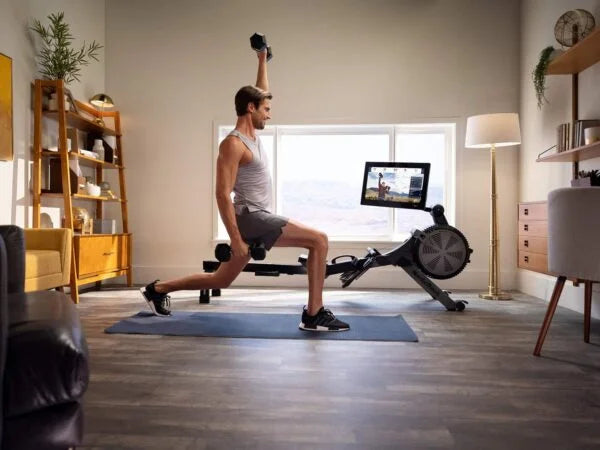 NordicTrack RW900 Rower Nibeza Style