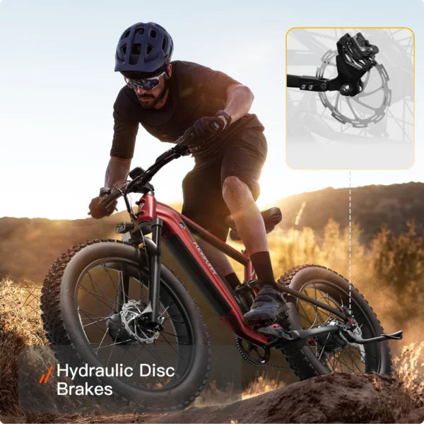 PUCKIPUPPY GoldenR Dual-Motor E-Bike Nibeza Style