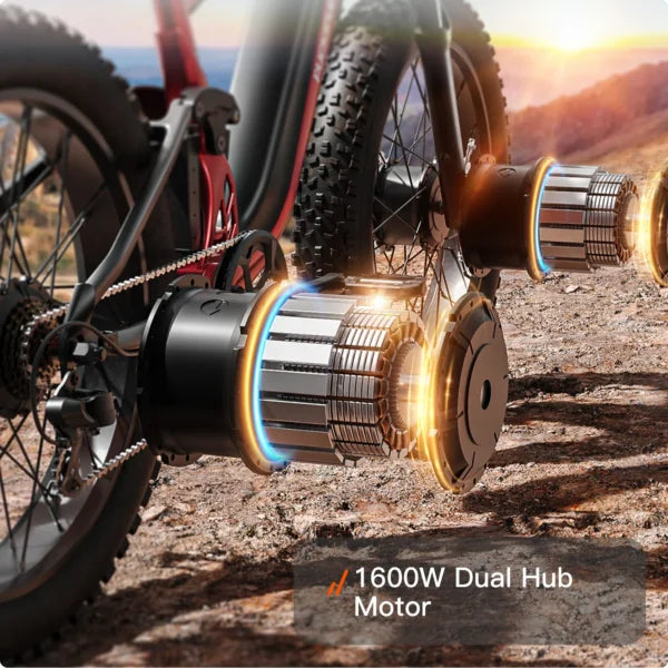 PUCKIPUPPY GoldenR Dual-Motor E-Bike Nibeza Style