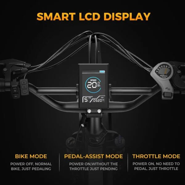 Peak Jasion X- Hunter Electric Bike Nibeza Style