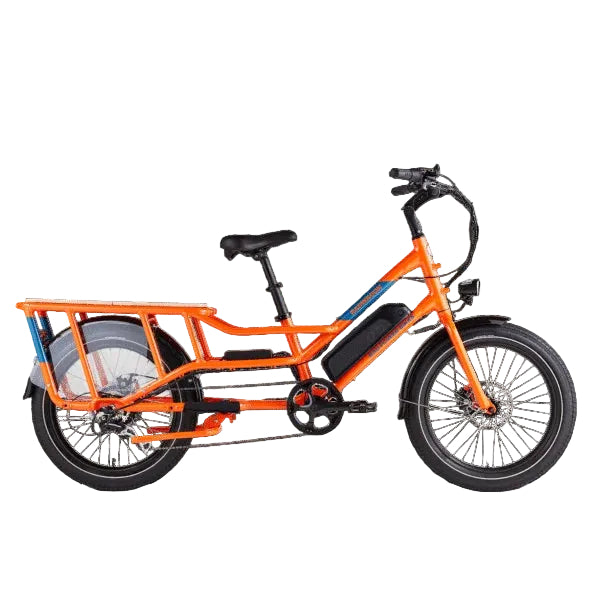 Rad Power Bikes RadWagon 4 Electric Cargo Bike Nibeza Style