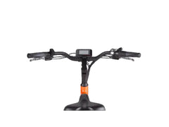 Rad Power Bikes RadWagon 4 Electric Cargo Bike Nibeza Style