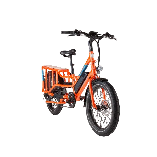 Rad Power Bikes RadWagon 4 Electric Cargo Bike Nibeza Style