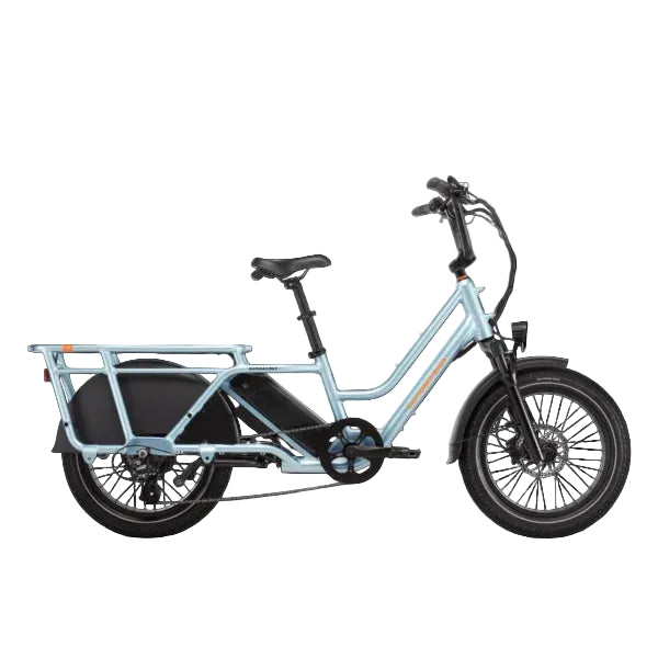 Rad Power Bikes RadWagon 5 Electric Cargo Bike Nibeza Style
