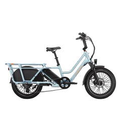 Rad Power Bikes RadWagon 5 Electric Cargo Bike Nibeza Style