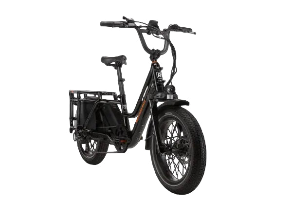 Rad Power Bikes RadWagon 5 Electric Cargo Bike Nibeza Style
