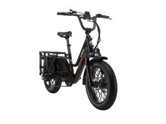 Rad Power Bikes RadWagon 5 Electric Cargo Bike Nibeza Style