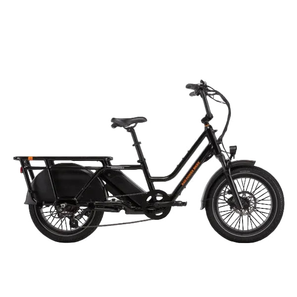 Rad Power Bikes RadWagon 5 Electric Cargo Bike Nibeza Style