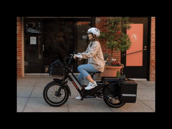 Rad Power Bikes RadWagon 5 Electric Cargo Bike Nibeza Style