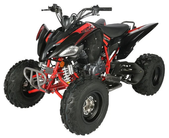 Regency PRO Ultra Sport 250cc ATV Nibeza Style