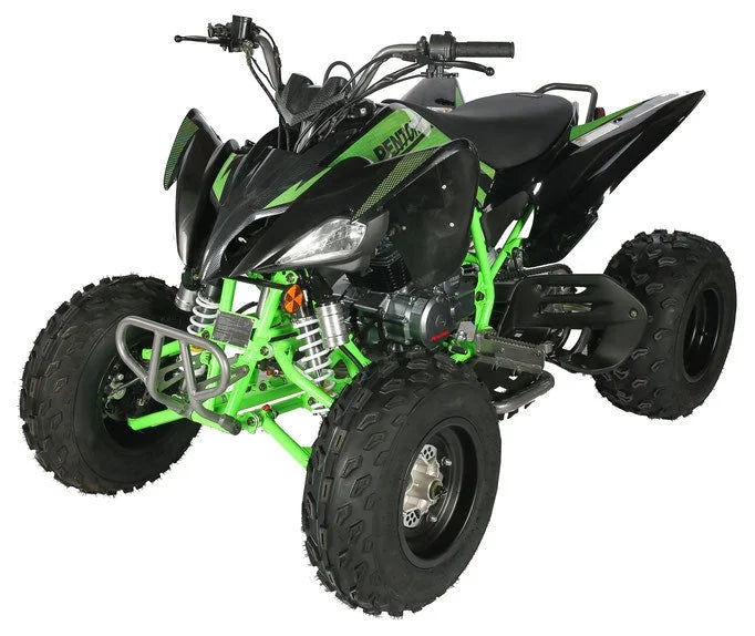Regency PRO Ultra Sport 250cc ATV Nibeza Style