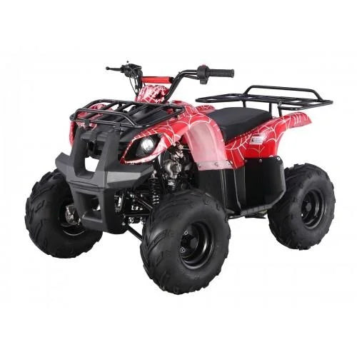 Tao Motor D125 Kids ATVs Nibeza Style