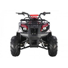 Tao Motor D125 Kids ATVs Nibeza Style